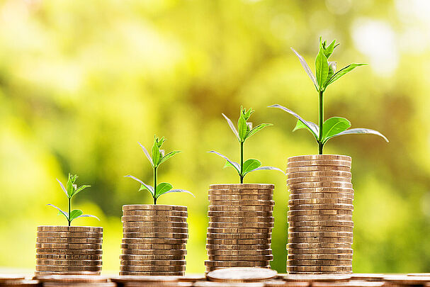 Hermesbürgschaften lassen sich gut für den Umweltschutz nutzen: Vier Münzstapel, aus denen grüne Pflanzen wachsen. (Foto: nattanan - stock.adobe.com)