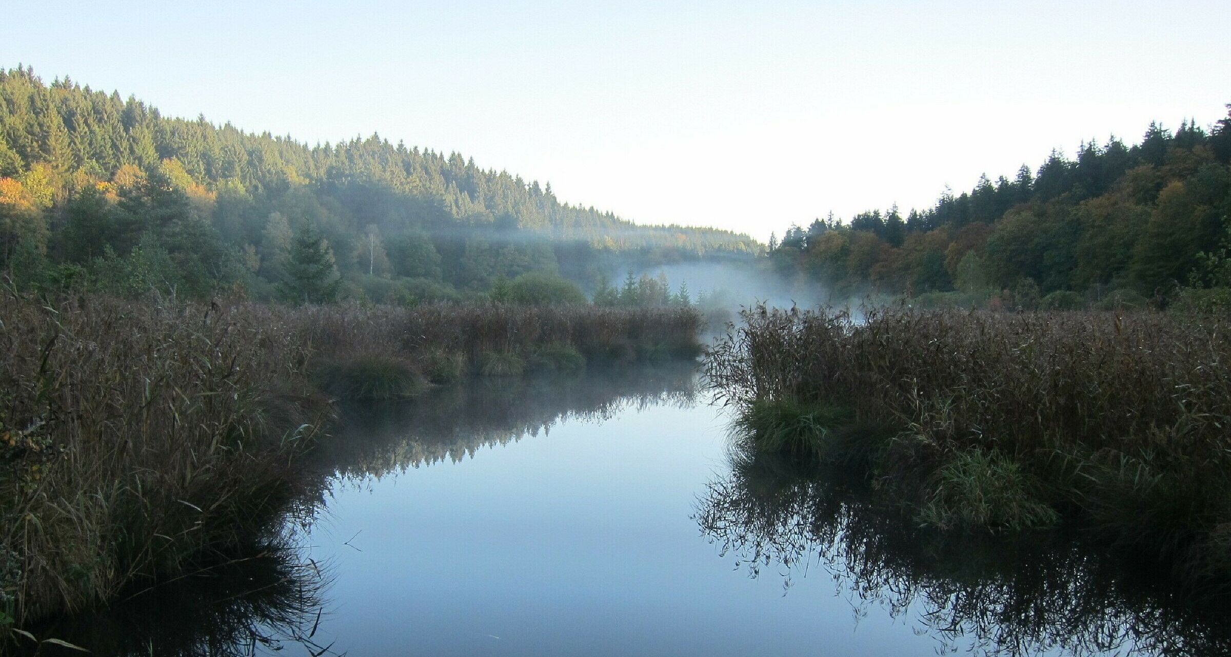 Ein Weiher mit breitem Schilfgürtel und von Wald umgeben, im Hintergrund steigt Nebel auf. Auch das Deininger Moos profitiert vom Moorschutz durch den BN. (Foto: Waltraud Hofbauer)