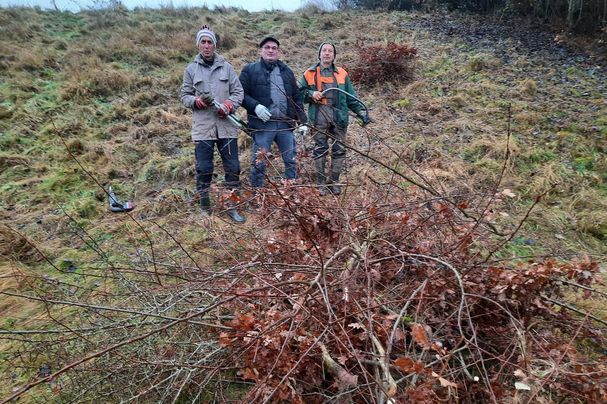 Mit Säge und Astschere wurden die aufwachsenden Bäume und Sträucher entfernt. Foto: Brigitte Englbrecht
