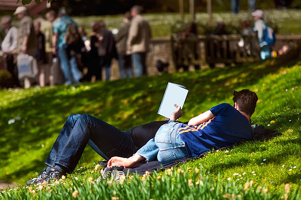 Zwei Menschen liegen auf einer Wiese, einer liest. (Foto: Christian Knospe/stock.adobe.com)