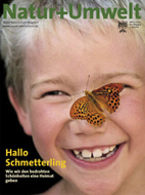 nu 3 05 titel mittel