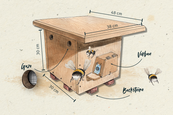 Hummelhaus bauen: Die Grafik zeigt, welche Maße der Außenkasten hat und wie man ihn zusammenbaut.