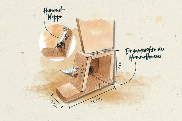 Hummelhaus bauen: Die Grafik zeigt, wie der Eingang und die davor angebrachte Klappe anzulegen sind.