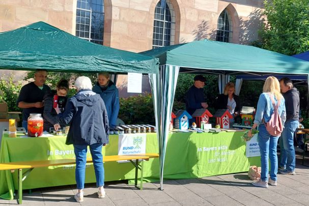 Stand der Ortsgruppe