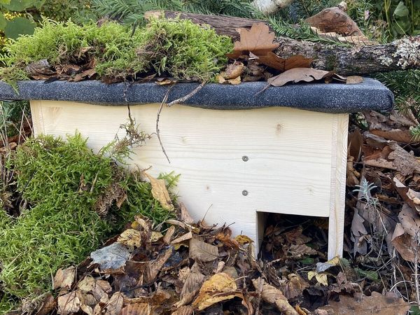 Ein Igelhaus steht im Garten, bedeckt mit Laub, Moos und Ästen.