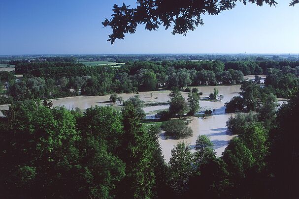 Blick von oben auf eine Landschaft mit überflutetem Wald (Foto: Wolfgang Willner)