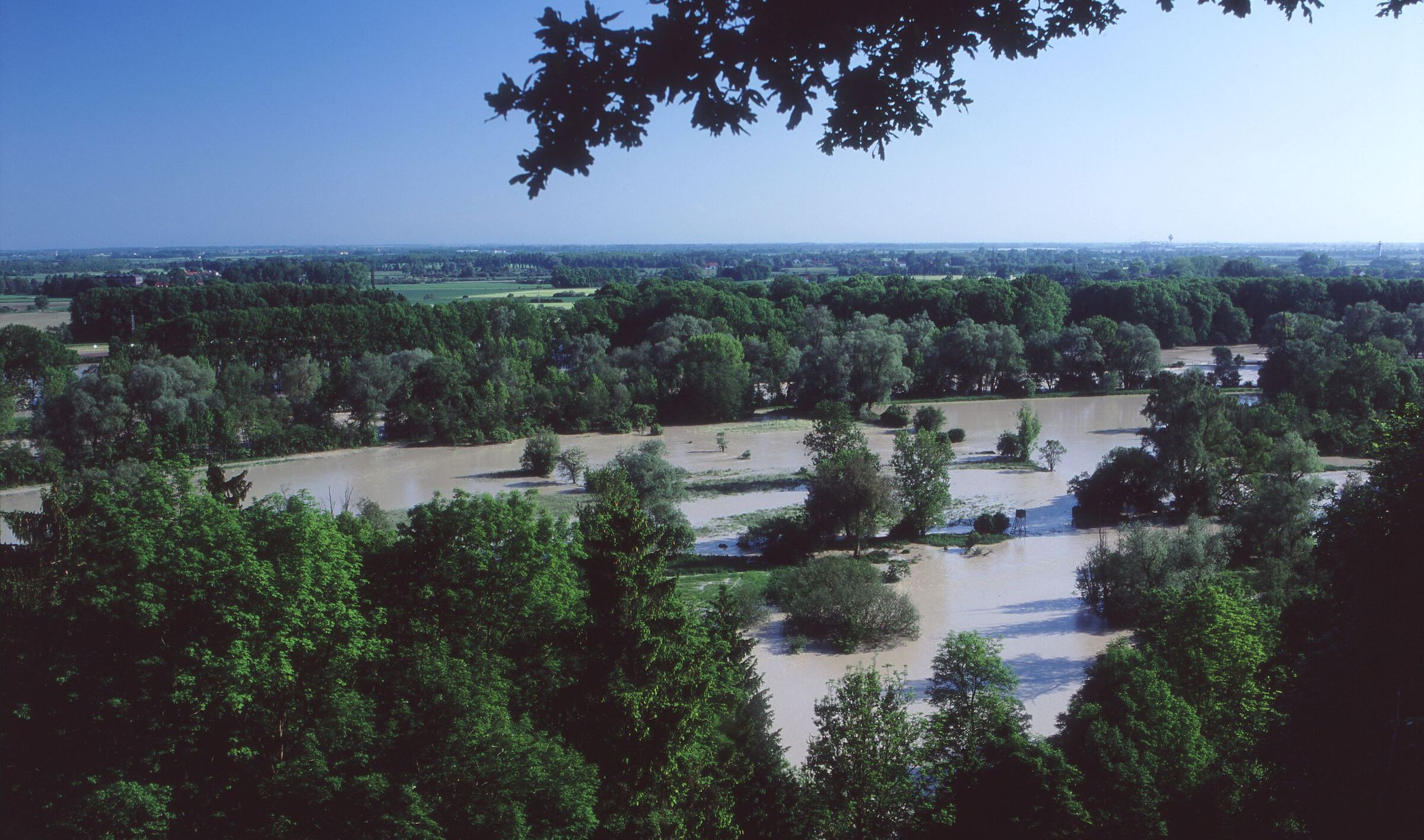 Blick von oben auf eine Landschaft mit überflutetem Wald – Auwälder wie dieser bieten natürlichen Hochwasserschutz (Foto: Wolfgang Willner)