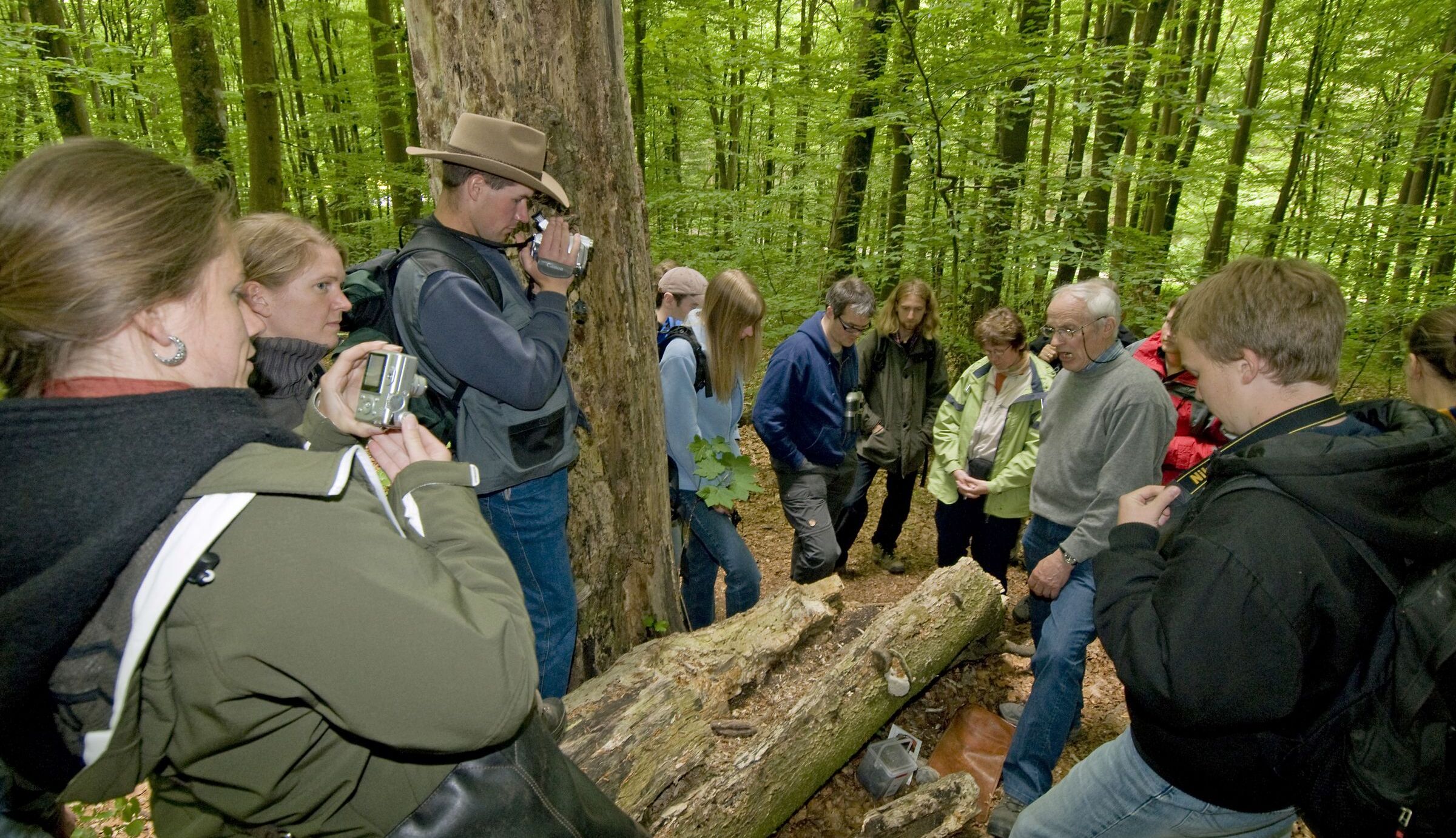 Besucher im Steigerwald betrachten einen liegenden, sehr dicken und mit Pilzen bewachsenen Baumstamm. Starkes Totholz wie dieses wäre in einem Nationalpark keine Seltenheit. (Foto: Thomas Stephan)