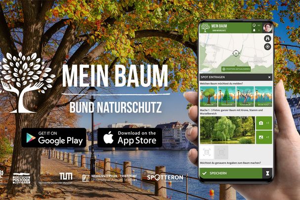 Mein Baum App