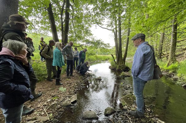 Sinnallianz, Renaturierung Auenlandschaft