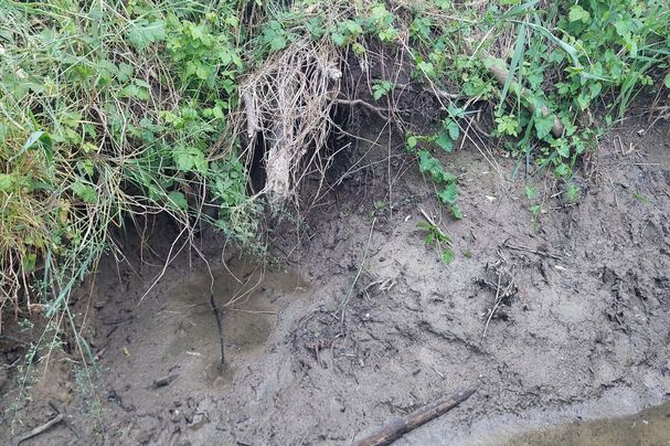 Eingang Biberburg bei Schwennenbach, Foto Dieter Leippert