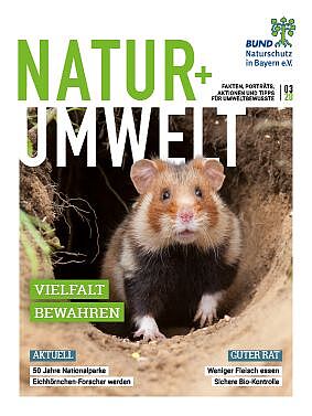 3-20_N+U_web_0708.indd