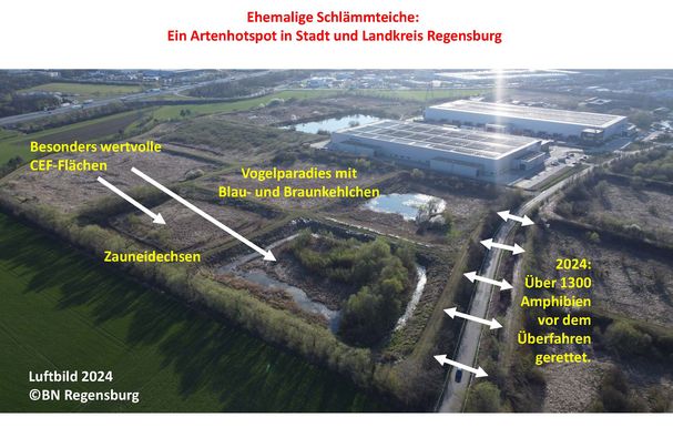 Foto: BN KG Regensburg