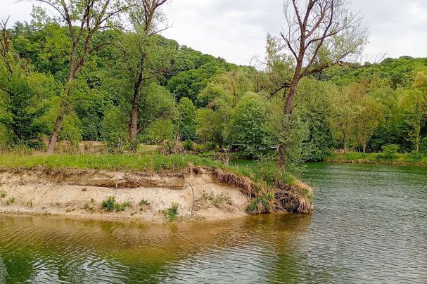 Isar Altwasserarm bei Niederaichbach | Bild Kathy Mühlebach-Sturm Isar Renaturierung Altwasser bei Niederaichbach