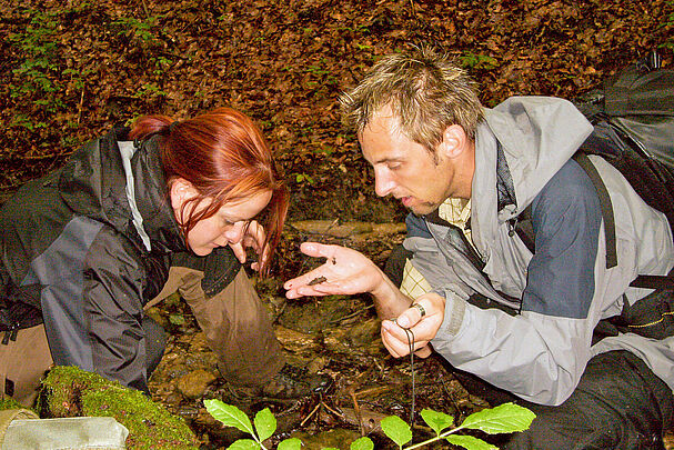 Larvensuche der Gestreiften Quelljungfer, per Hand, in einem Quellbach der Fränkischen Schweiz (BN-Archiv, Kai Frobel)