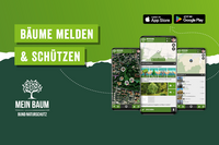 Bäume melden, entdecken und beschützen!