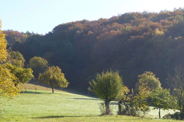 Kulturlandschaft im Vorspessart