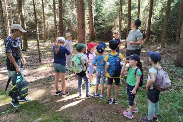 Eine Gruppe von zehn Kindern im Alter von 6 bis 12 Jahren versammelt sich um Waldpädagogin Tina Winterer auf einer Lichtung im Wald. Foto: Marion Maier