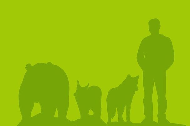 Poster "Die großen Vier: Bär, Luchs, Wolf und Mensch" (BN)