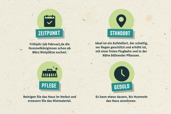Hummelhaus bauen: Die Grafik erklärt den richtigen Ort und Zeitpunkt für ein Hummelhaus.