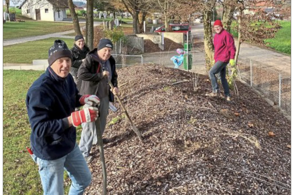 Heckenpflanzung im Friedhof 