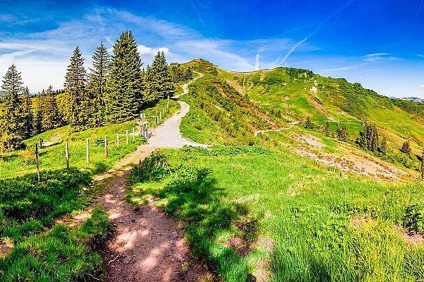 Blick auf den unverbauten Gipfel Riedberger Horn. (Foto: frankthoma/AdobeStock)