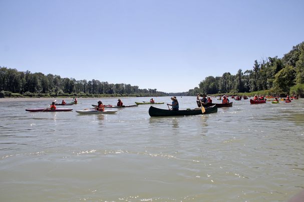 Kanuten auf der Salzach