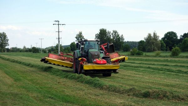 Nicht immer muss alles auf einmal gemäht werden(Foto: Marion Ruppaner)