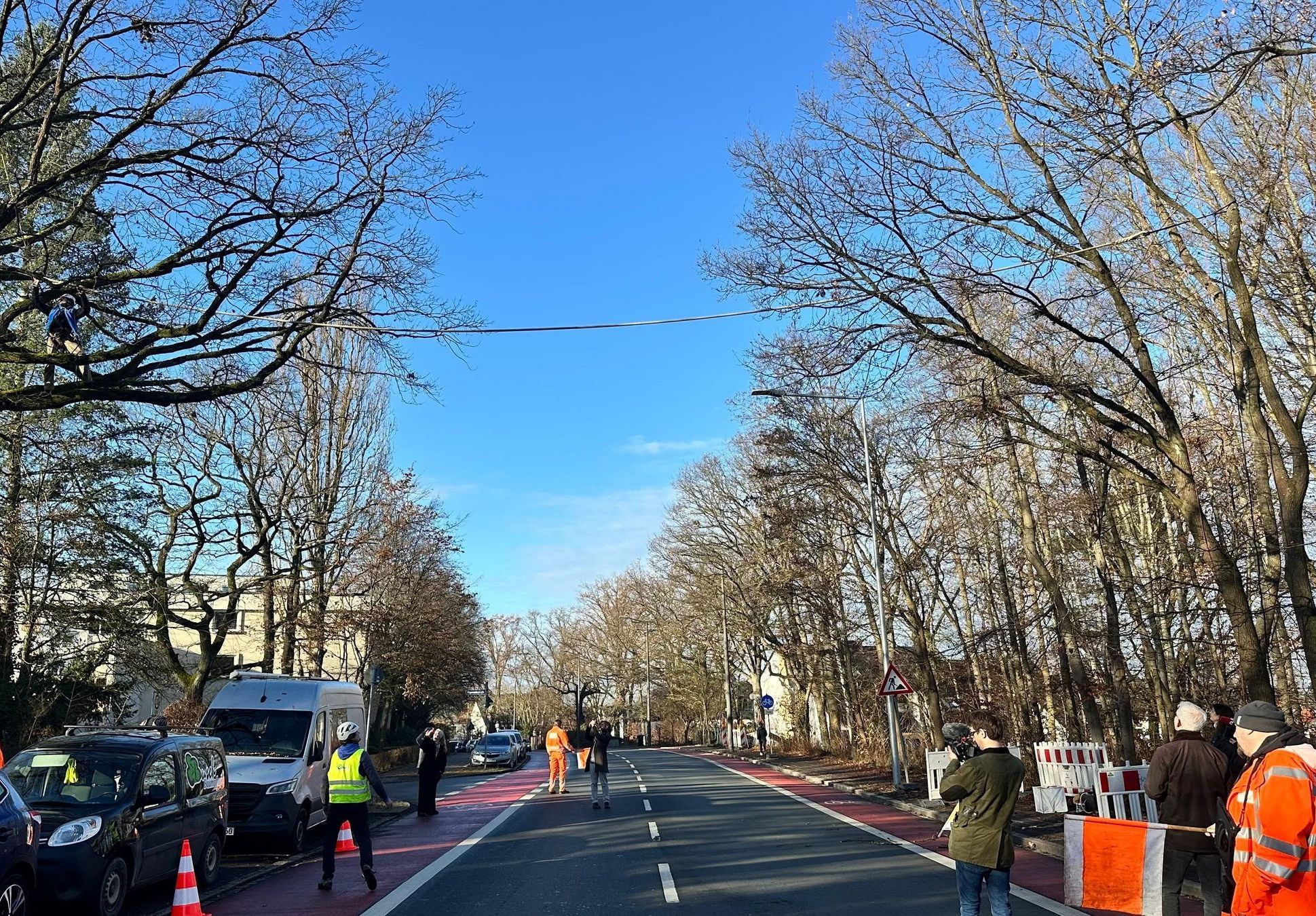 Eichhörnchenbrücke: Ein dickes Seil führt einer Baumkrone zur anderen über die Eichendorffstraße in Nürnberg.