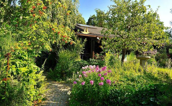 Lebensraum Garten: Das Bild zeigt einen naturnahen Garten in vollem Grün, mit vielen unterschiedlichen Blumen, Stauden und Bäumen.