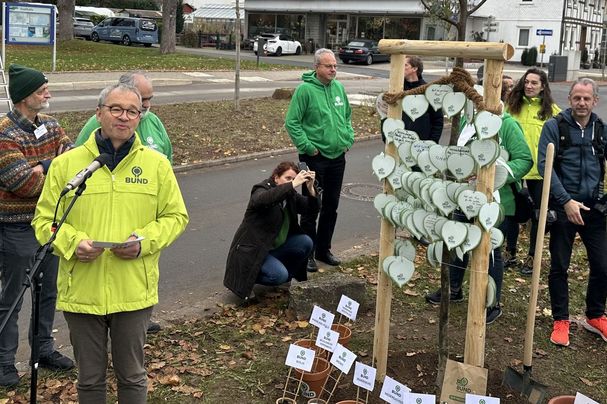 Olaf Band 50 Jahre BUND Geburtstagslinde
