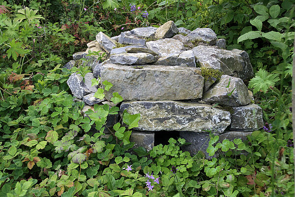 Ein Igelhaus aus Stein , steht schön eingewachsen im Garten.