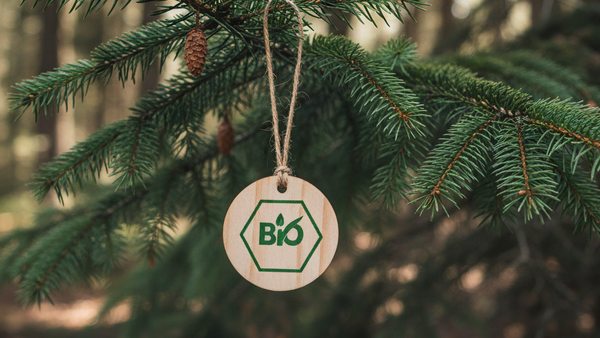 Weihnachtsbaum kaufen: An einem Zweig eines Weihnachtsbaums hängt ein kleines rundes Holzschild mit der Aufschrift "Bio".