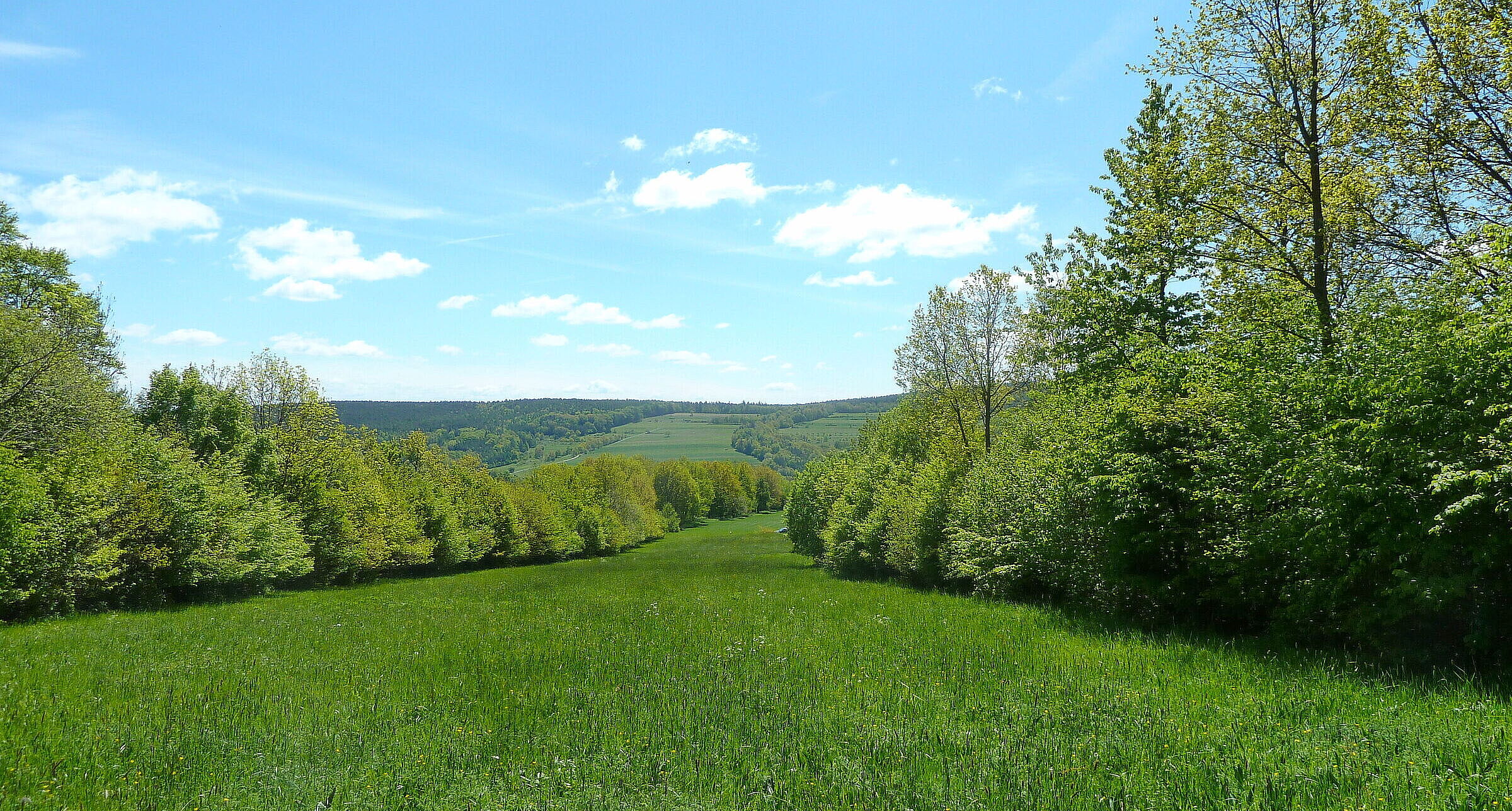 Eine langgestreckte von zwei Hecken gesäumte Wiese