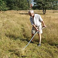 Ein Mann senst eine hohe Wiese. Sandmagerrasen müssen extensiv bewirtschaftet werden. (Foto: BN-Ortsgruppe Nürnberger Süden)