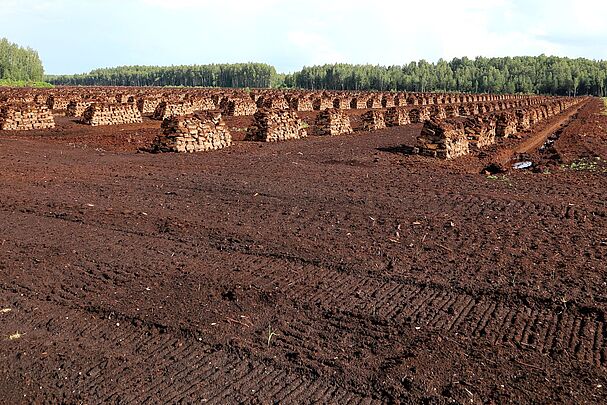 Eine große schwarze Fläche inmitten eines Waldes, darauf gestapelte Moorstücke. Solche Moorzerstörung im großen Stil gibt es beispielsweise noch in Lettland. (Foto: fotolia.com/fotofox33)