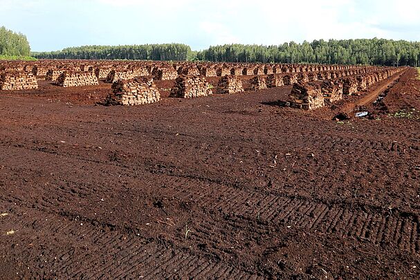 Eine große schwarze Fläche inmitten eines Waldes, darauf gestapelte Moorstücke. Solche Moorzerstörung im großen Stil gibt es beispielsweise noch in Lettland. (Foto: fotolia.com/fotofox33)