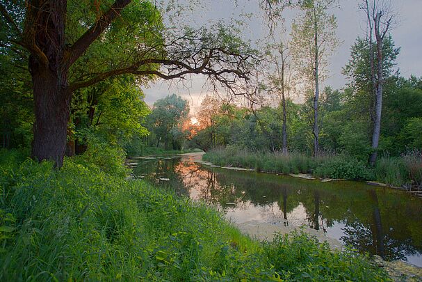 Ein Fluss fließt durch dicht bewachsene Ufer, im Hintergrund rötlich eingefärbt die Sonne und Wolken (Foto: Wolfgang Willner)