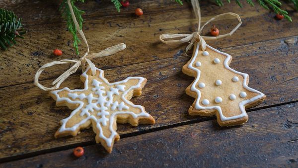 Nachhaltige Weihnachten: Ein Plätzchen in Form eines Sterns und eines in Form eines Weihnachtsbaums hängen am Zweig eines Christbaums.