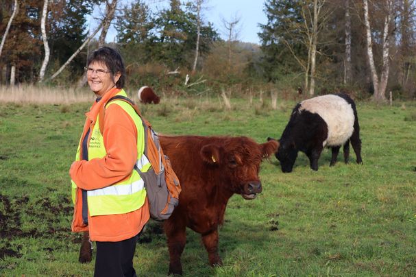 Beate Kiss, Vorsitzende der OG Kirchseeon bei den Galloway-Rindern im Brucker Moos
