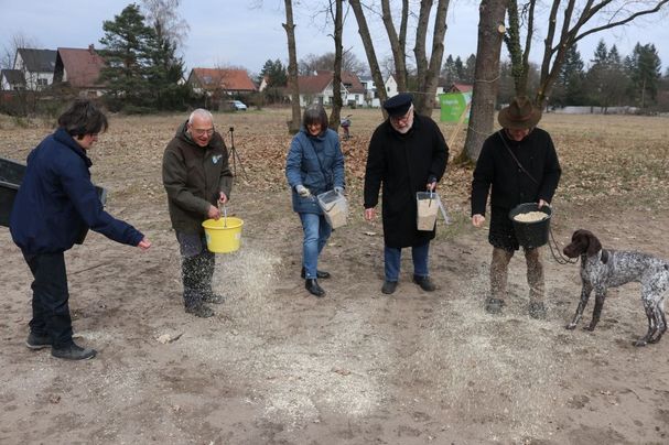 Ausbringen von Saatgut