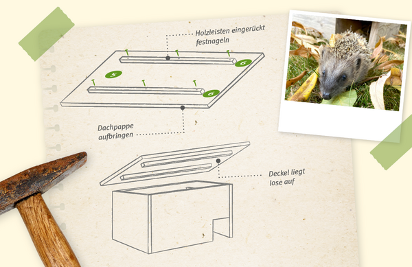 Die Grafik zeigt, wie das Dach eines Igelhauses angebracht wird.