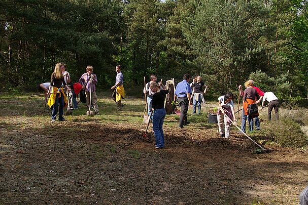 Eine Gruppe von Menschen mit Rechen und Schaufeln arbeiten auf einer Sandfläche. (Foto: Andreas Niedling)
