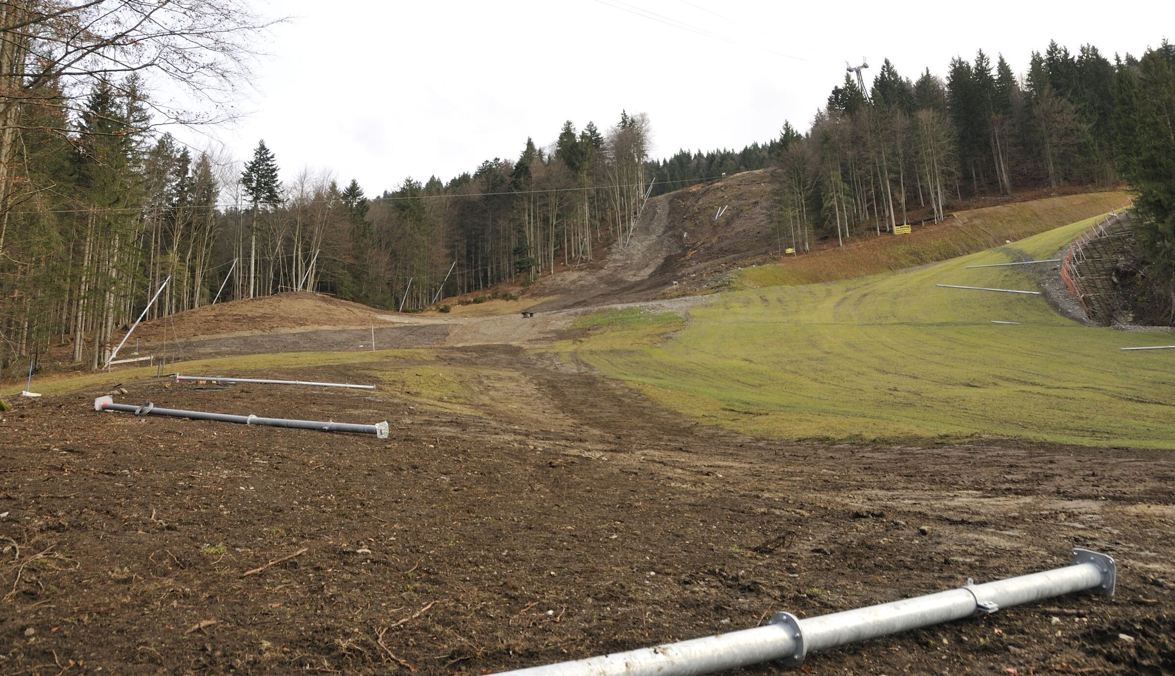 Schattenseiten des Alpentourismus: Gerodete Flächen für die Skiabfahrt (Foto: Axel Döring)