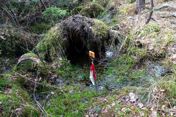 Foto einer Wasserquelle mit Markierungsfähnchen zur Kartierung.