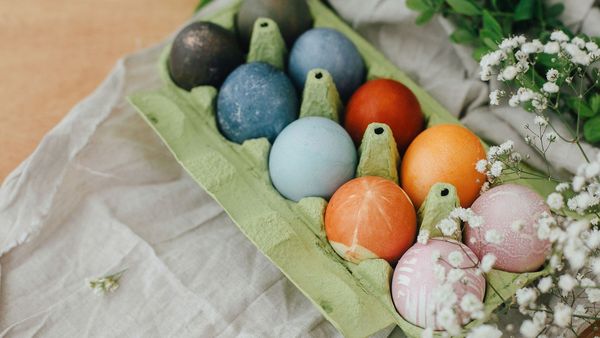 Ostereier natürlich färben: Unterschiedlich gefärbte Eier - blau, gelb, grün - liegen in einem Eierbehälter.