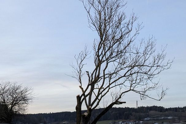 Foto: Dr. Andreas Zahn