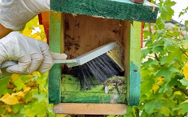 Nistkasten bauen und pflegen: Nachdem die Vogelfamilie den Brutplatz verlassen hat, sollte der Nistkasten gründlich gesäubert werden. (Foto: Martina Gehret)