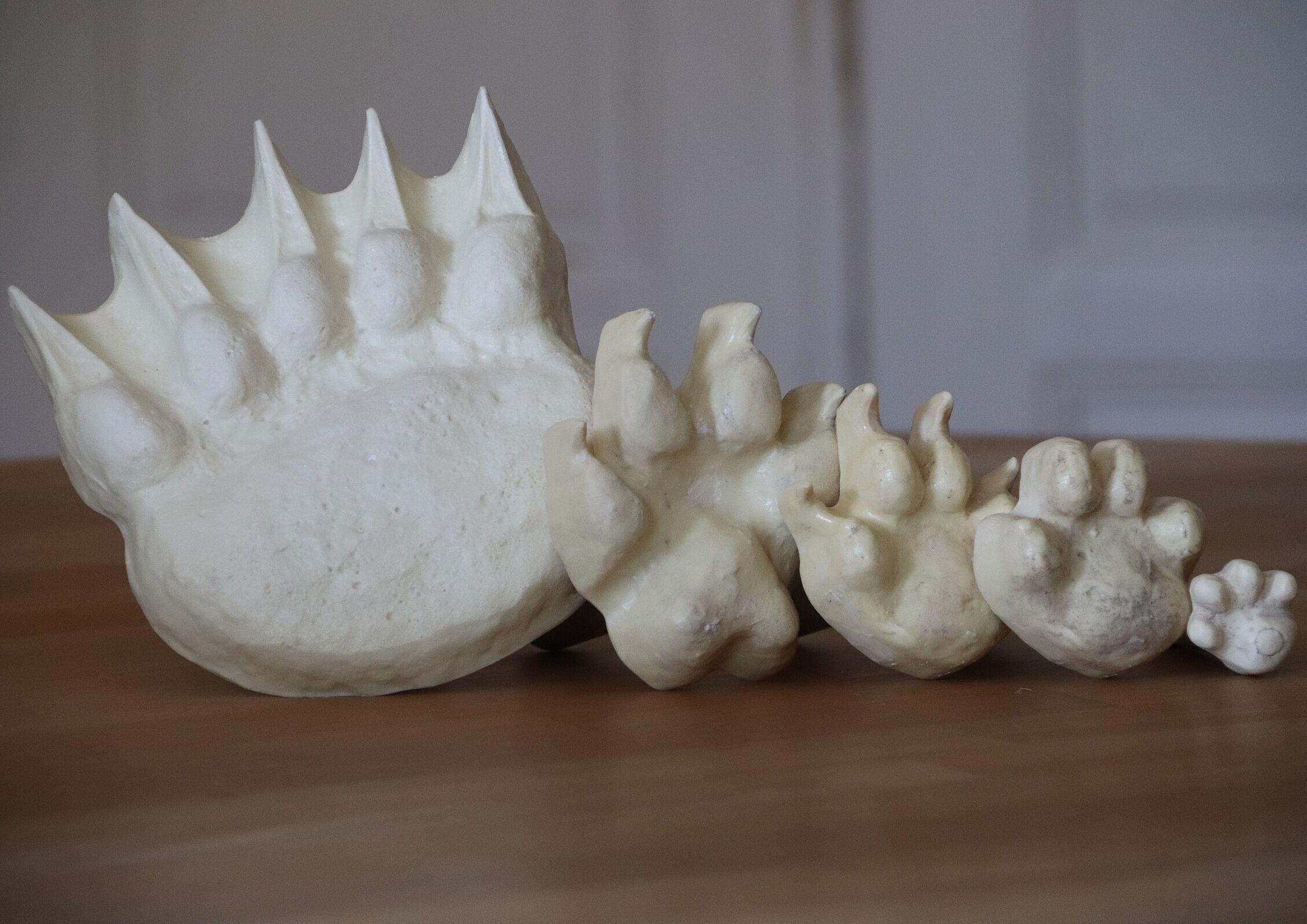 Trittsiegel Bär, Wolf, Luchs und Wildkatze (Foto: Sonja Kreil)