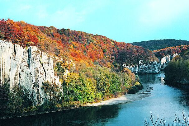Felswände mit einem bunten Herbstwald ragen über einem mäandernden Fluss auf (Foto: Wolfgang Willner)